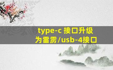 type-c 接口升级为雷雳/usb-4接口